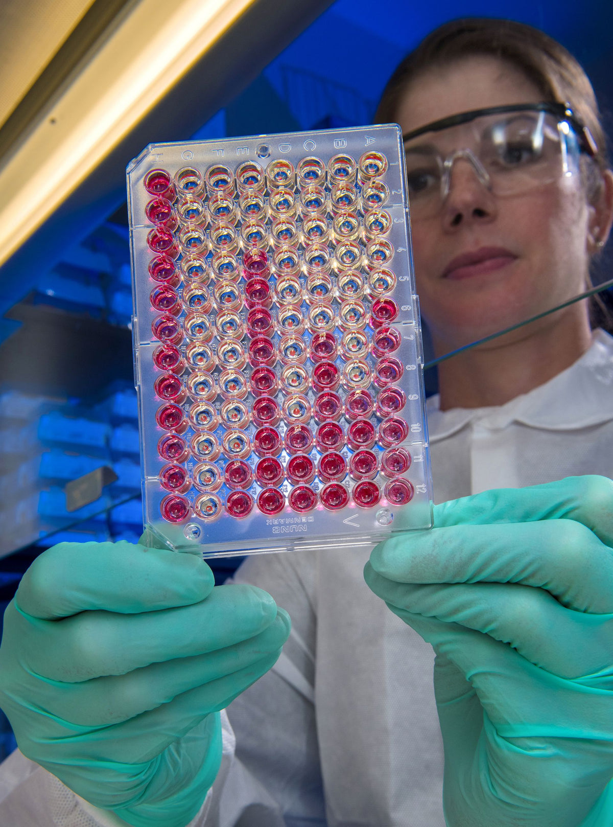 Científica con gafas de protección examina una microplaca de 96 pocillos con muestras de color rojo en un laboratorio real