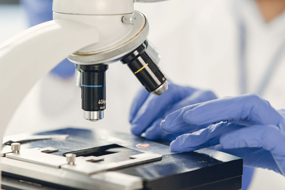 Técnico de laboratorio con guantes de nitrilo colocando una muestra en el portaobjetos de un microscopio biológico en un laboratorio real